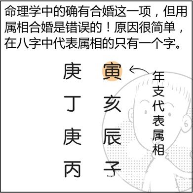 漫畫解析八字命理！