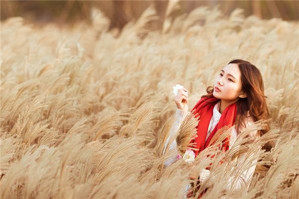 夢見圍巾丟了什麼寓意_周公解夢