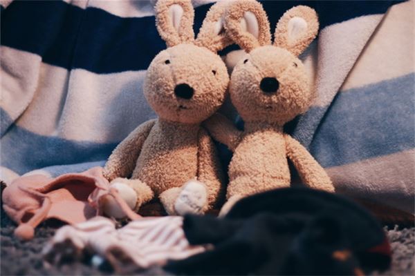 屬兔人的婚姻與命運如何_十二生肖