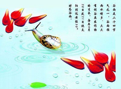 2014年穀雨是什麼時候，2014年穀雨是幾月幾號