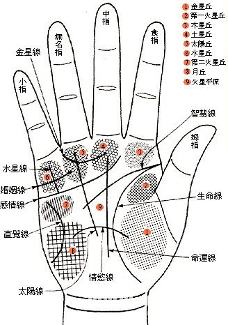 最善交際的手相