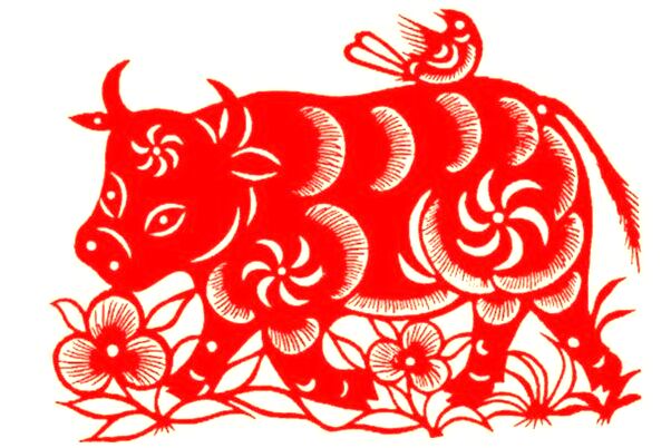 夢到沒帶泳衣意味什麼_周公解夢官網