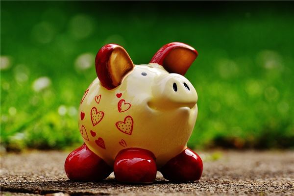 1995年的豬2021年運程_十二生肖