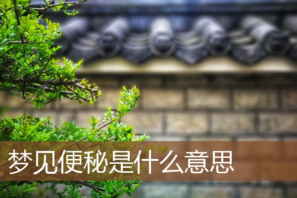 夢見便秘是什麼意思_周公解夢