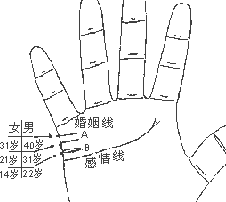 看手相算命圖解：手相看婚姻_看相大全