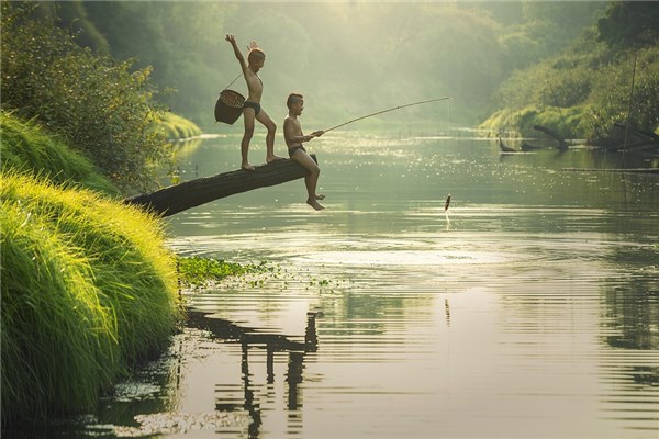 夢到了釣草魚有何寓意_周公解夢