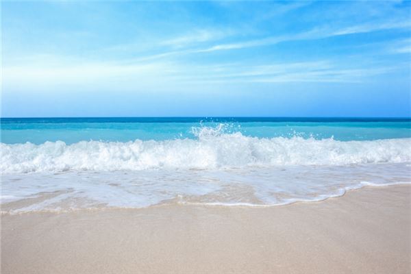 夢見趕海_周公解夢