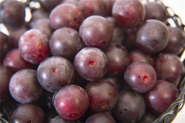 夢見吃李子_周公解夢