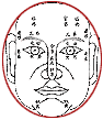 面相分析：13、十二命宮圖_看相大全