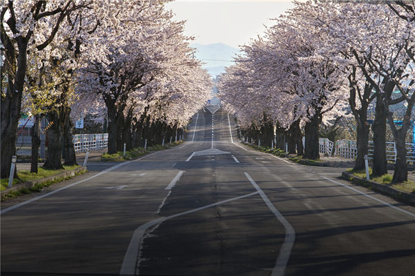 夢見堵路是凶兆還是吉兆_周公解夢