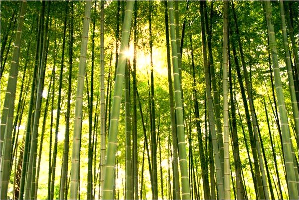 夢見老闆不發給我年終獎是吉兆嗎?_周公解夢官網
