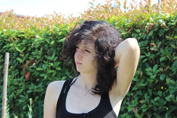 生肖馬2021年運勢如何_十二生肖