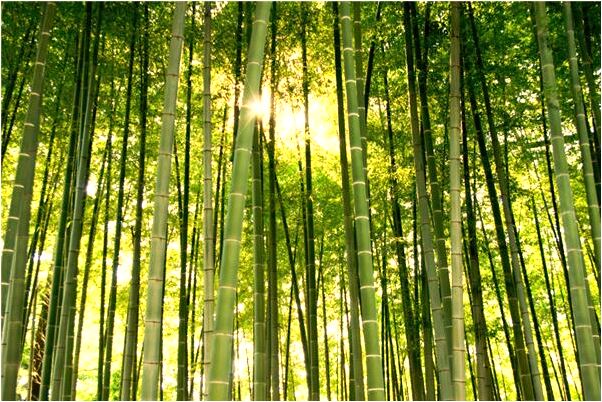 夢見祖先很有錢是什麼意思_周公解夢官網