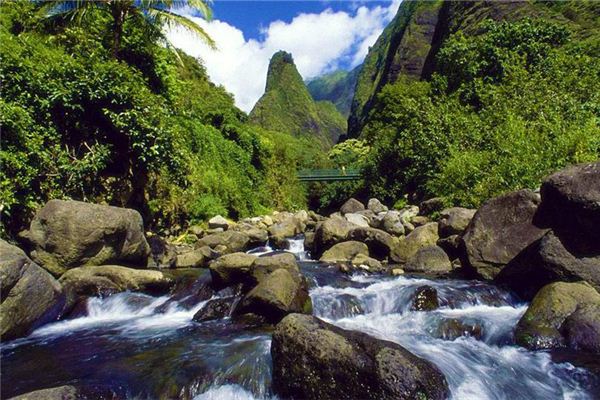 夢見山谷：走出山谷，新的開始_周公解夢