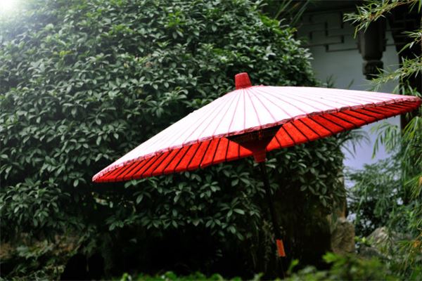 夢見雨傘骨架壞了_周公解夢