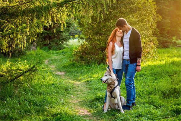 夢見別人給自己介紹對象_周公解夢