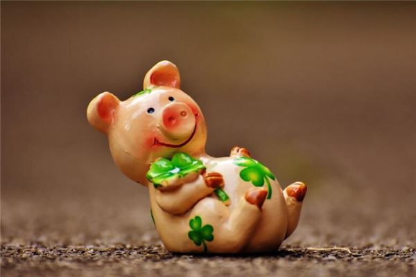 1983年1月屬豬適合的工作_十二生肖