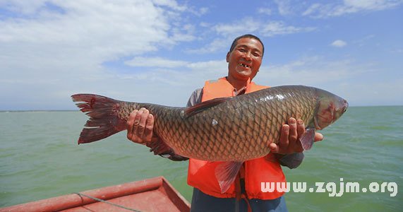 夢見抱大魚