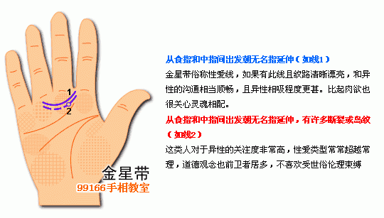 手相圖解大全：12、各類掌紋支線_看相大全