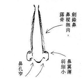 女人面相算命圖解(9)