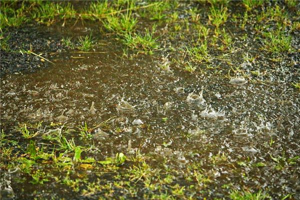周公解夢夢見下雨_周公解夢
