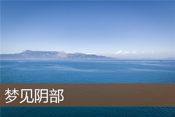 夢見陰部_周公解夢