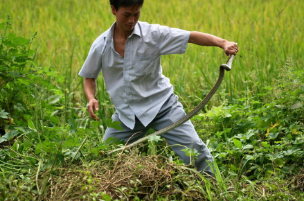 夢見被蛇咬手指出血