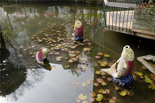 夢到自己捉到三條魚_周公解夢
