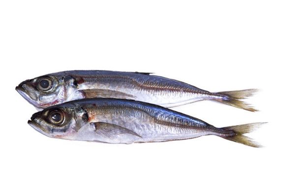 夢見燉魚是什麼意思_周公解夢
