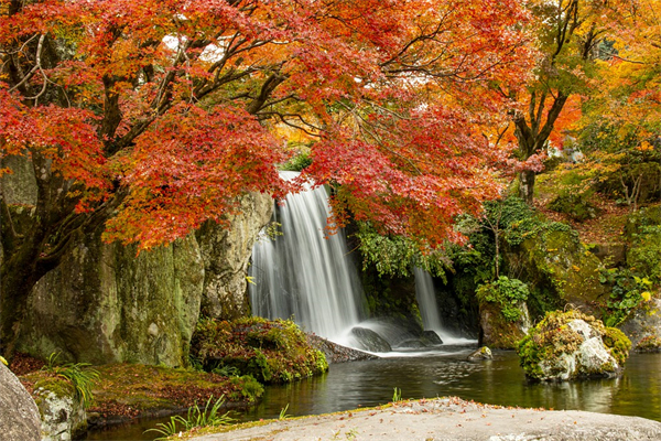 夢到了山澗是凶兆還是吉兆_周公解夢