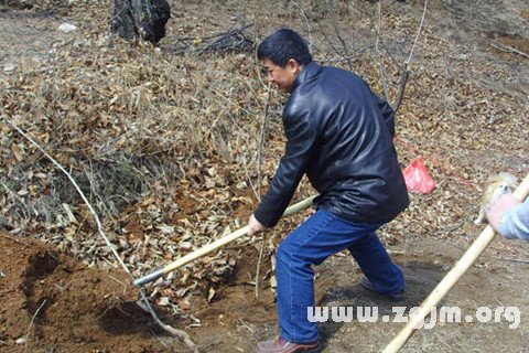 夢見使用鐵鍬掘土