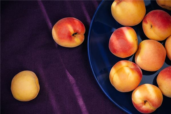 夢見杏胡預示了什麼_周公解夢