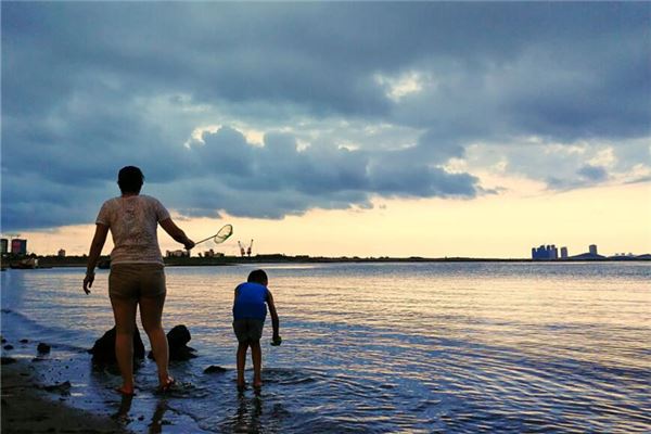 夢見用網兜撈魚_周公解夢