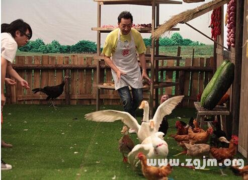 趣談《星廚駕到》中那些星座明星們_十二星座