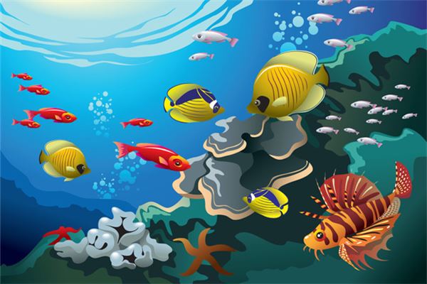夢到好多魚_周公解夢
