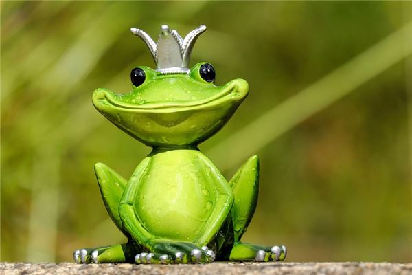 夢見可愛會有什麼預兆_周公解夢