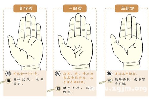 超全！掌紋手相讓你一次看個夠