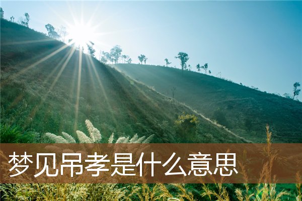 夢見弔孝是什麼意思_周公解夢
