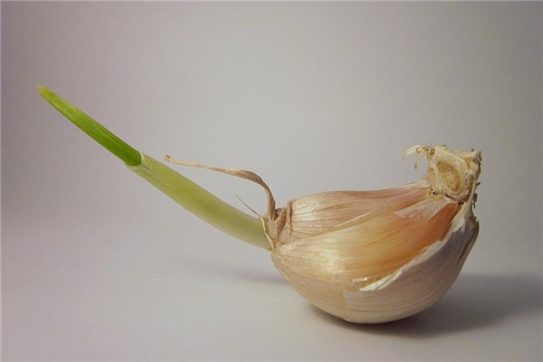夢到拔大蒜是什麼預兆_周公解夢