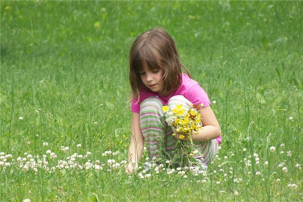夢到挑選什麼預兆_周公解夢