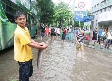 夢見發大水抓魚