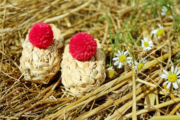 夢到了穿草鞋是啥意思_周公解夢