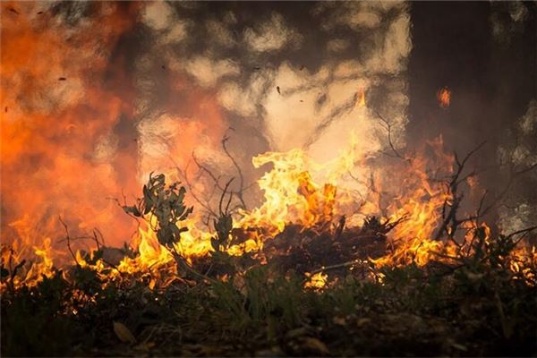 夢到起火_周公解夢