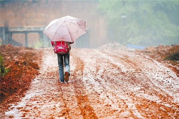 夢見走泥濘路,別人走錯路掉頭_周公解夢