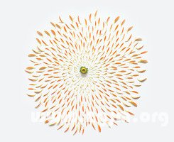席慕容給雙魚座的愛情詩_十二星座