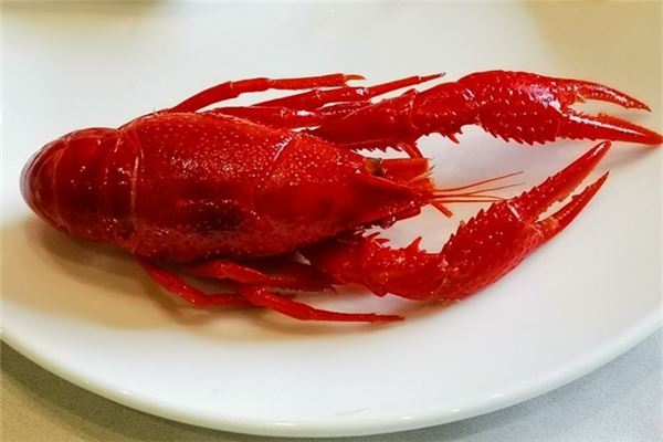 夢見釣龍蝦什麼預兆_周公解夢