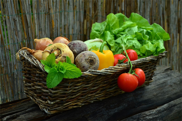 夢見撿蔬菜是什麼徵兆_周公解夢