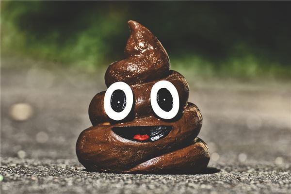 夢到了坐在屎上意味著什麼_周公解夢