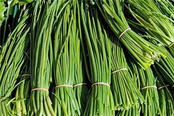 夢到韭菜根是凶兆還是吉兆_周公解夢