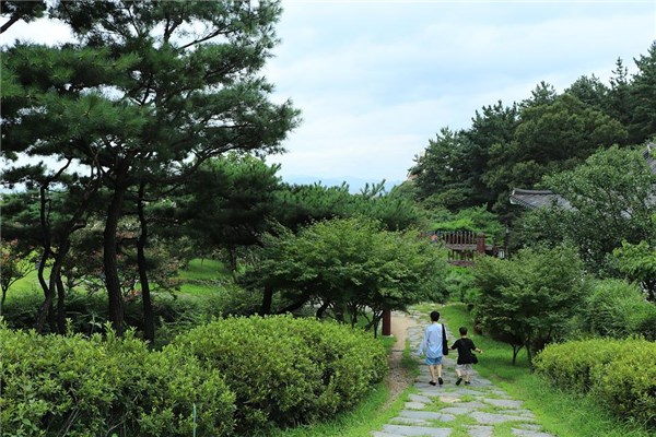 夢見松葉預示什麼_周公解夢